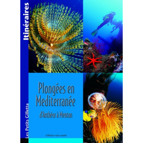 Plongées en Méditerranée : Côte d'Azur Plongées en Méditerranée : Côte d'Azur