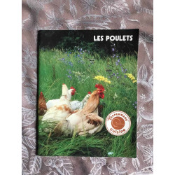 Tupperware - Les Poulets