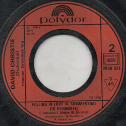 Falling In Love In Summertime (Is Dynomite)
