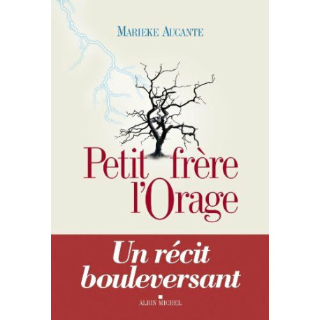 Petit Frère l'Orage Petit Frère l'Orage