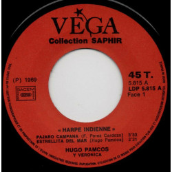 Harpe Indienne
