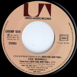 Theme From "New York New York"