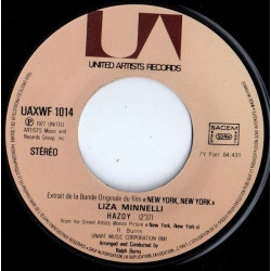 Theme From "New York New York"