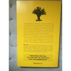 Ma jian China dream flammarion
