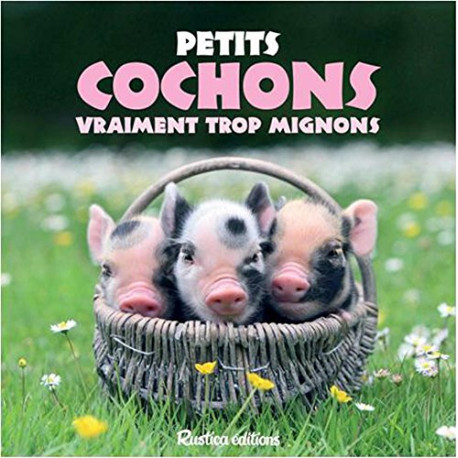 Petits cochons vraiment trop mignons Petits cochons vraiment trop mignons