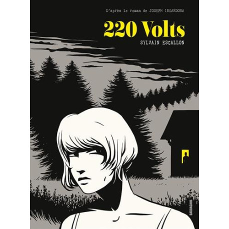 220 volts 220 volts