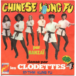 Chinese Kung Fu / Rythm Kung Fu