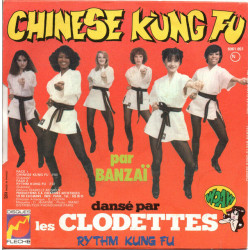 Chinese Kung Fu / Rythm Kung Fu