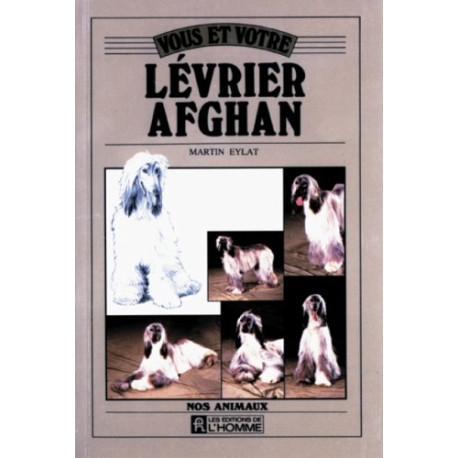 Vous et votre lévrier afghan Vous et votre lévrier afghan