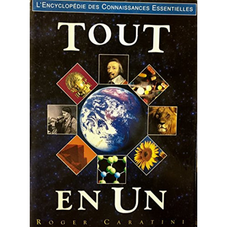 Tout en un Tout en un