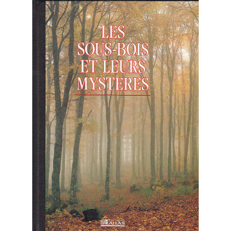 Les sous-bois et leurs mystères Les sous-bois et leurs mystères