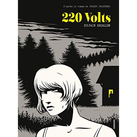 220 volts 220 volts