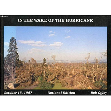 In the Wake of the Hurricane In the Wake of the Hurricane