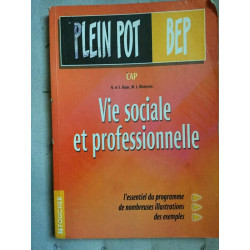 n et s bujoc m l blateyron et professionnelle