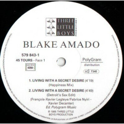 Living With A Secret Desire (Happy World Remixes)