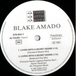 Living With A Secret Desire (Happy World Remixes)