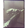 LES GRANDES MARQUES JAGUAR