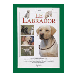 Le Labrador