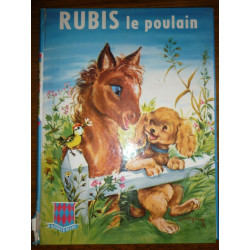 Martin lagarde Rubis le poulaineditions g p Collection Rouge bleue
