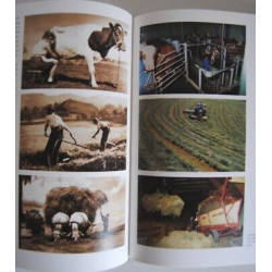 Haubrich Hug Lange DAS GROSSE BUCH VOM SCHWARZWALD