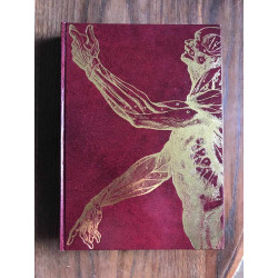 Les merveilles de notre corps tome 1