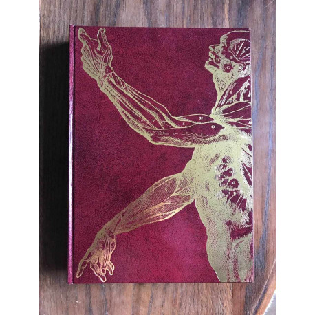 Les merveilles de notre corps tome 1