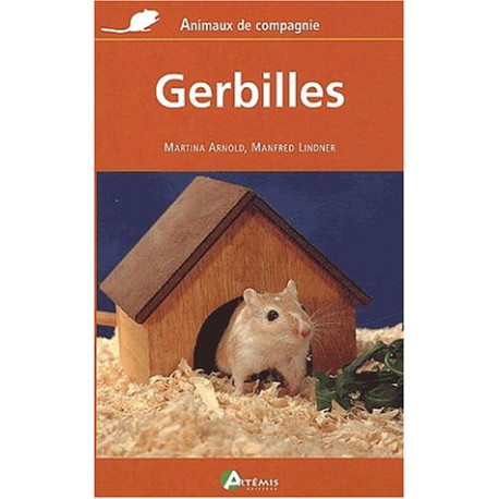 Gerbilles Gerbilles