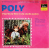 La Merveilleuse Aventure D'un Petit Garçon Et D'un Poney - Poly