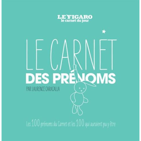 Le carnet des prénoms: Les 100 prénoms du carnet les 100 qui... Le carnet des prénoms: Les 100 prénoms du carnet les 100 qui...