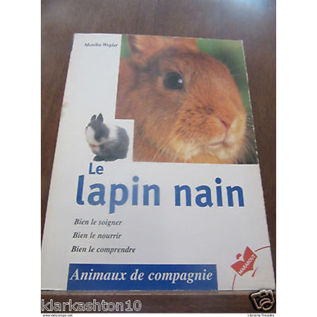 le lapin nain bien le soigner bien le nourrir le lapin nain bien le soigner bien le nourrir