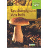 Vie en vert : Champignons des bois