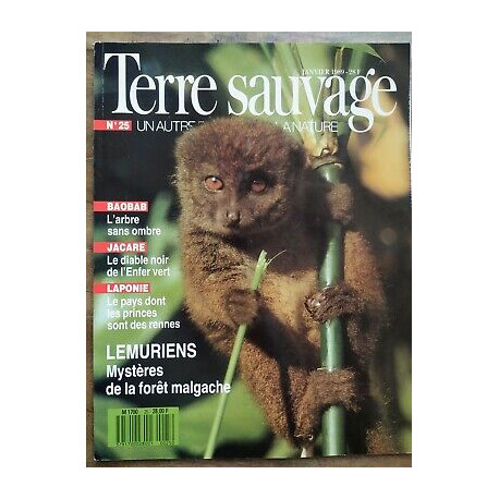 Terre Sauvage n25 Janvier 1989 Lemuriens Mystères de la forêt malgache