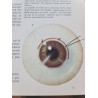 Nouvelle encyclopédie de la médecine les maladies : prévention et...