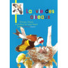La Vie des Oiseaux