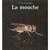 La mouche