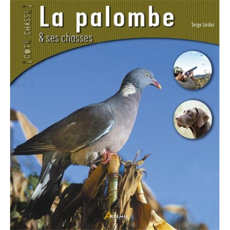 La palombe et ses chasses La palombe et ses chasses