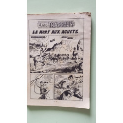 Kiwi nº 251 - 1976