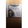 Harfe Harfe Musik Hudec (2CD)