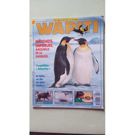 Wapiti nº 58