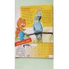 Bussi l'ours nº 47