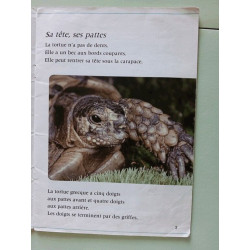 Les Animaux D'Europe. La Tortue