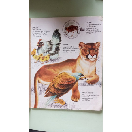 Connaissance des animaux 4 de P a Z