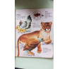 Connaissance des animaux 4 de P a Z