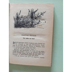 Tony et les gens du voyage (Bibliothèque rose)