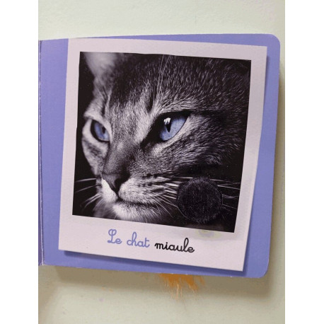 Les animaux de compagnie