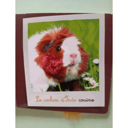 Les animaux de compagnie