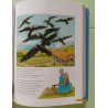 Une histoire pour chaque soir a lire a tous les petits garcons