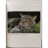 L'Encyclopédie des chats : Pour les connaître les comprendre les...