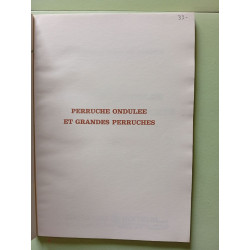 Perruche ondulee et grandes perruches (Dargaud Elevage)