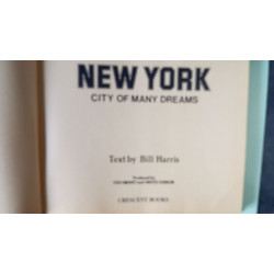 New york: city of many dreams